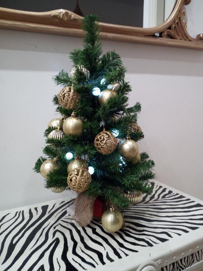 Apartament Gelsomino 74 Florencja Zewnętrze zdjęcie